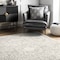 Nuloom Minta Vintage Transitional Area Rug 4ft x 6ft RZBD30A-406 - alternate 4